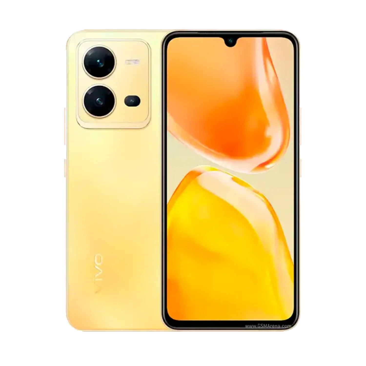 Vivo V25